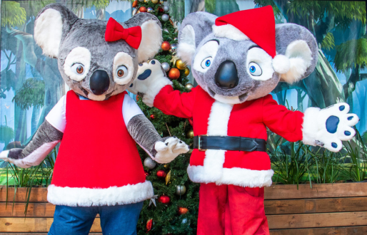 Nutsy and Blinky Christmas