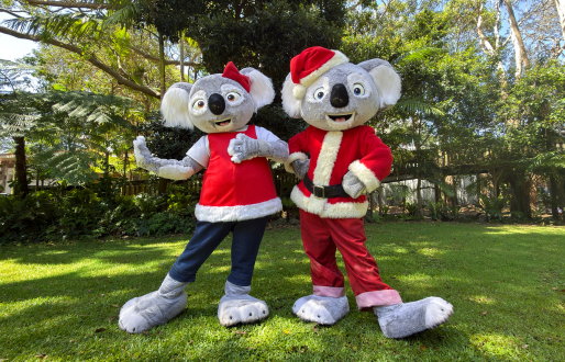Blinky bill and nutsy christmas