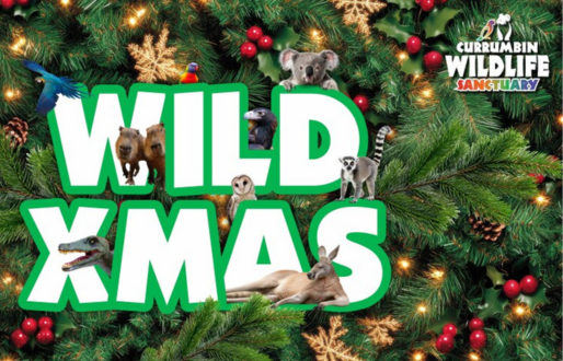 wild christmas