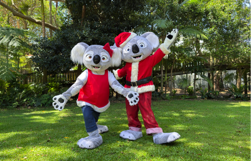 Blinky Bill and Nutsy Christmas