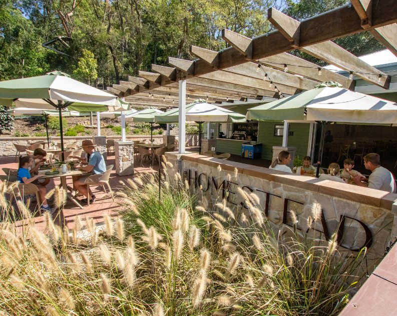 People enjoying lunch at a modern rustic outdoor venue, surrounded by greenery and ferns on a sunny day