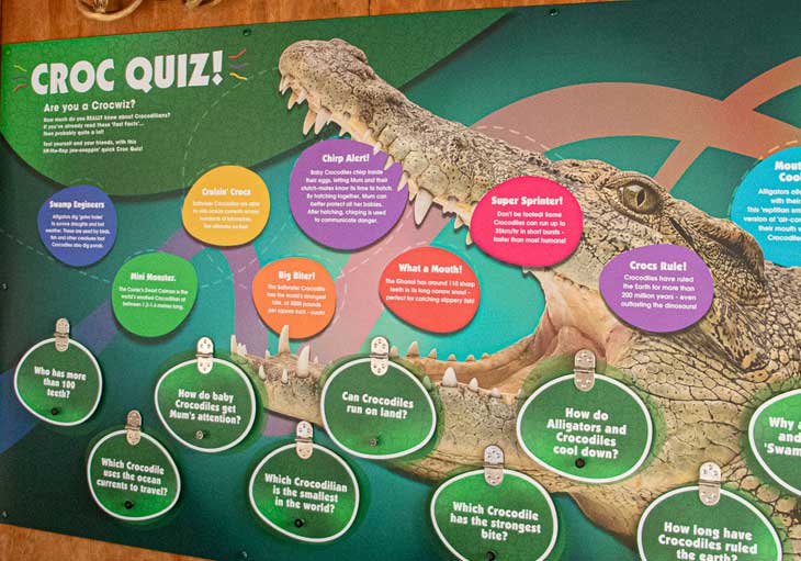 Interactive crocodile precinct wall
