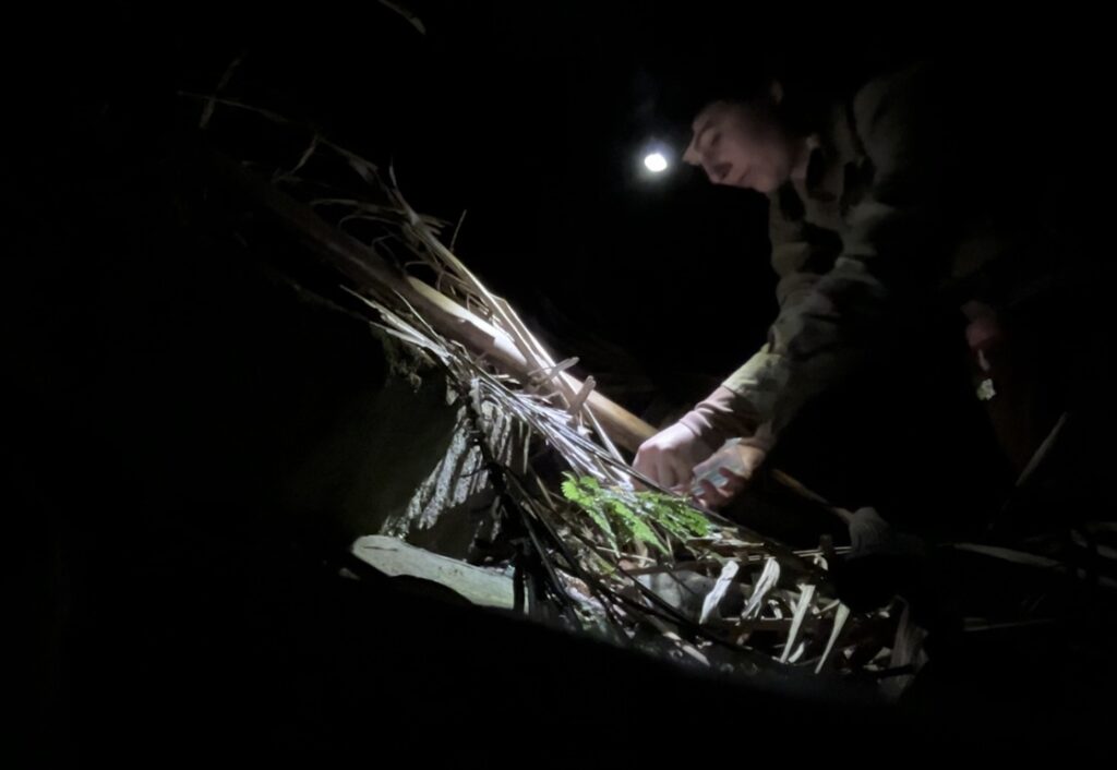 Woman wearing a bright head lamp opening a container over a what looks like a few palm branches on the ground. It is night-time and everything around her is dark