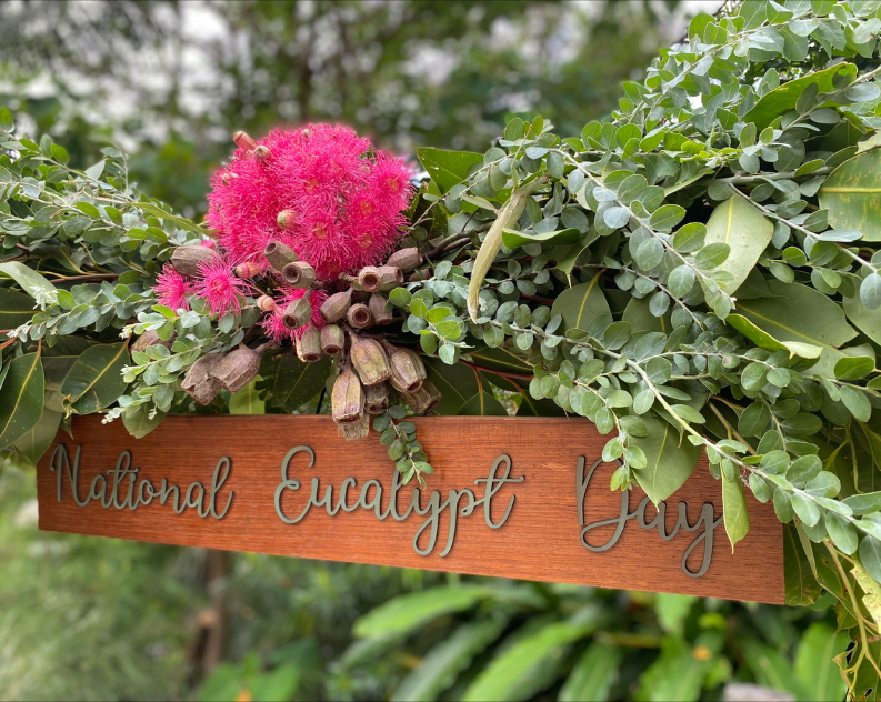 Beautiful native flower arrangement and wooden sign saying National Eucalypt Day