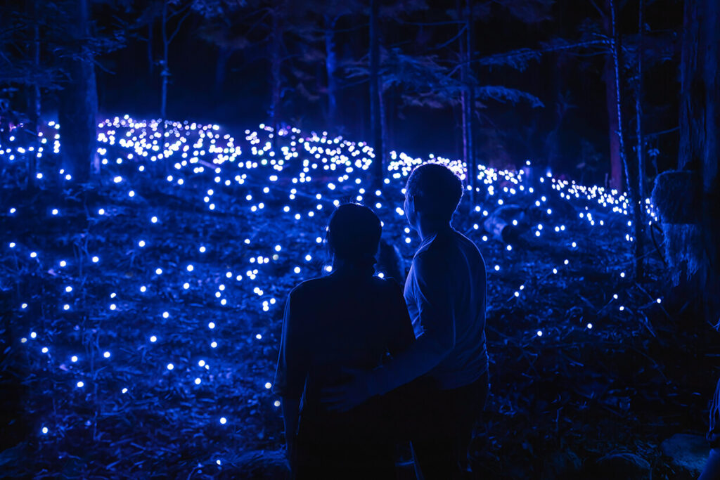 A couple gazes at a field of blue glowing lights in a forest.