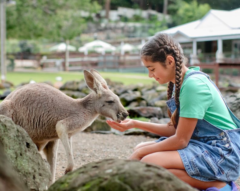 Wildlife and Nature trip on the Gold Coast with Kids
