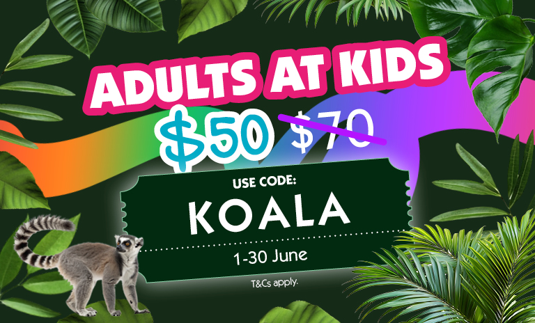 A mostly green graphic design with colourful text overlaid saying Adults At Kids $50 and strike through $70. It is also overlaid with a ticket illustration with text Use code Koala 1-30 June as well as a Lemur , rainbow ribbon and green leaves