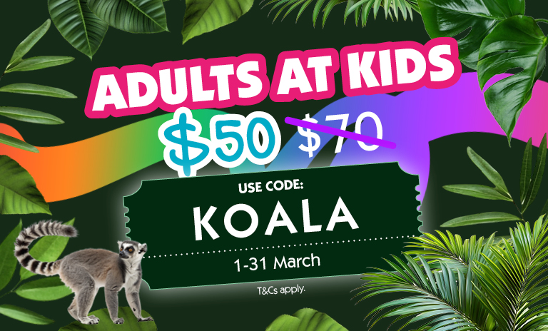 A graphic with colourful bold text Adults At Kids $50 and the price $70 striked through. Underneath the text is a ticket element with text Use Code Koala 1-31 March. The background is made of green leaf illustrations overlaid with an image of a lemur and rainbow coloured ribbon.
