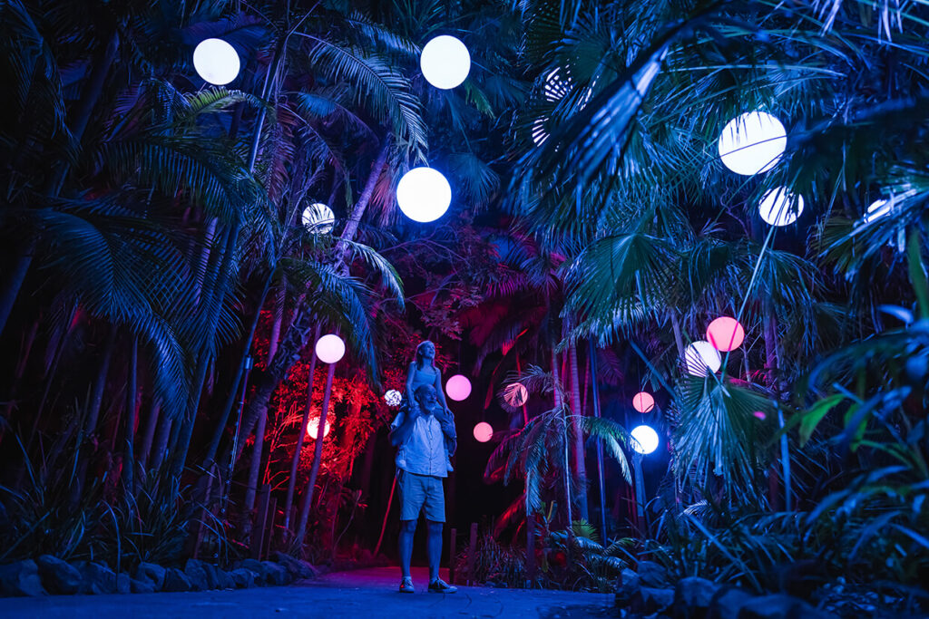 Person with child on shoulders in a forest lit by colorful lights.