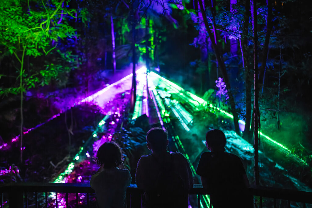 Silhouettes of people watching vibrant laser lights in a forest.