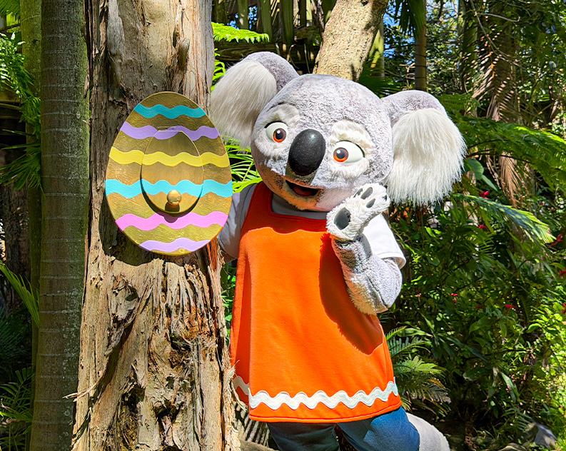 Person in a life size Koala costume in a bright orange vest posing next to a large golden egg cut out from cardboard, decorated with wavy colourful lines and hanging on a tree trunk