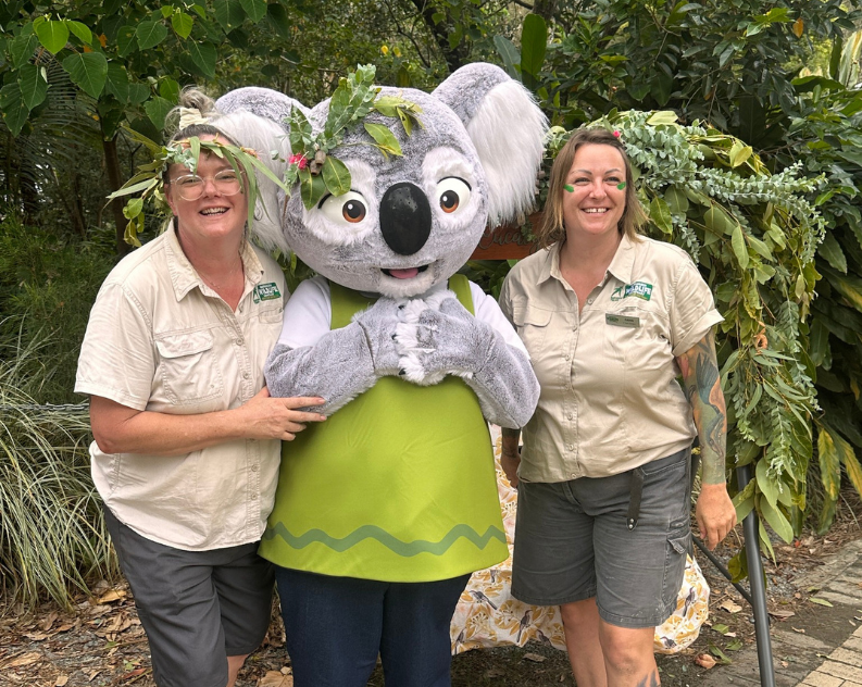 Person in a life size Koala costume in the middle of two female wildlife keepers all smiling