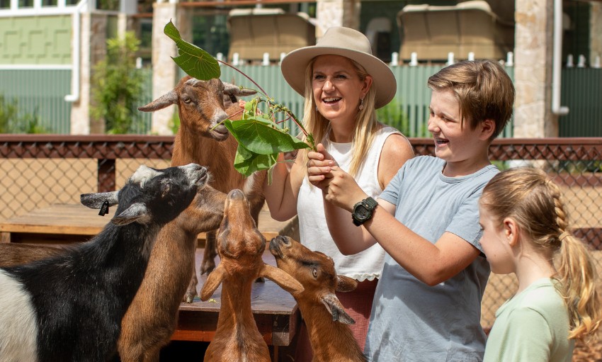 Five small curious goats being fed by a mum and her two kids, all smiles