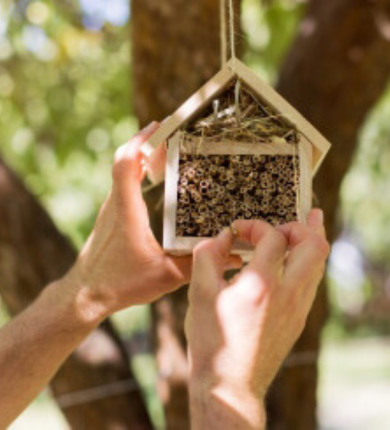 A bee house made from wooden blanks and hollow sticks hanging from a tree, hands holding it up while putting in another stick