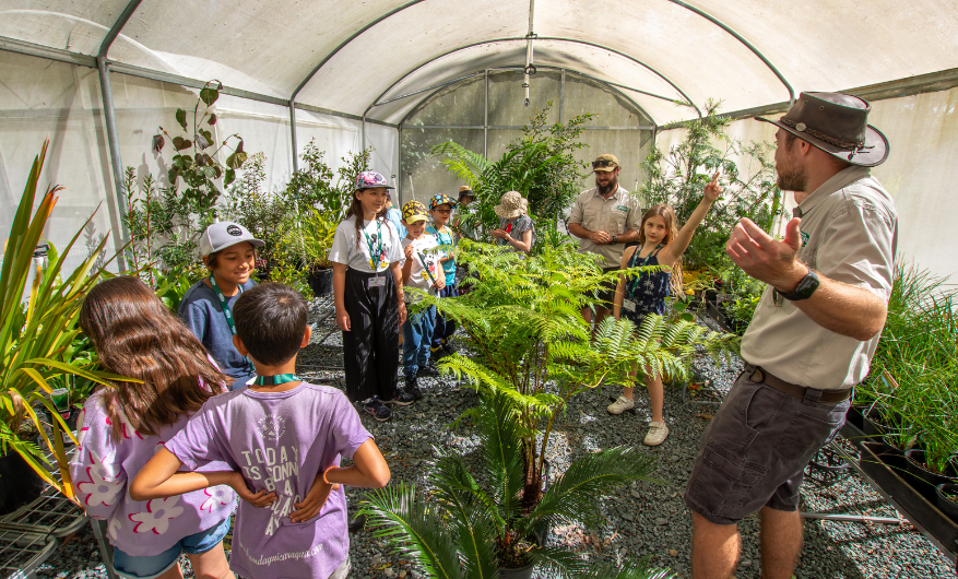 Group of school kids with two teachers in khaki clothing inside a greenhouse with lots of green plants