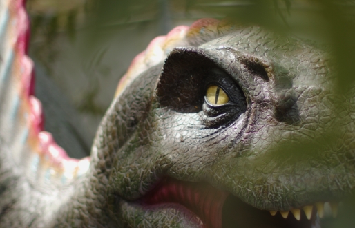 The eye and parts of a life-size dinosaur replica through trees