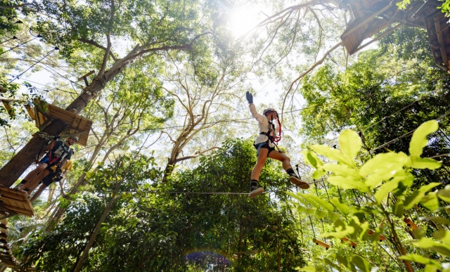 Woman wearing helmet and safety equipment walking across thin steel rod strung from one large tree to another. It's a sunny day and another person is on a platform waiting to walk across