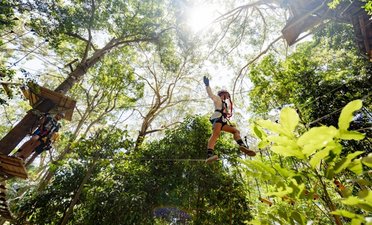 Woman wearing helmet and safety equipment walking across thin steel rod strung from one large tree to another. It's a sunny day and another person is on a platform waiting to walk across