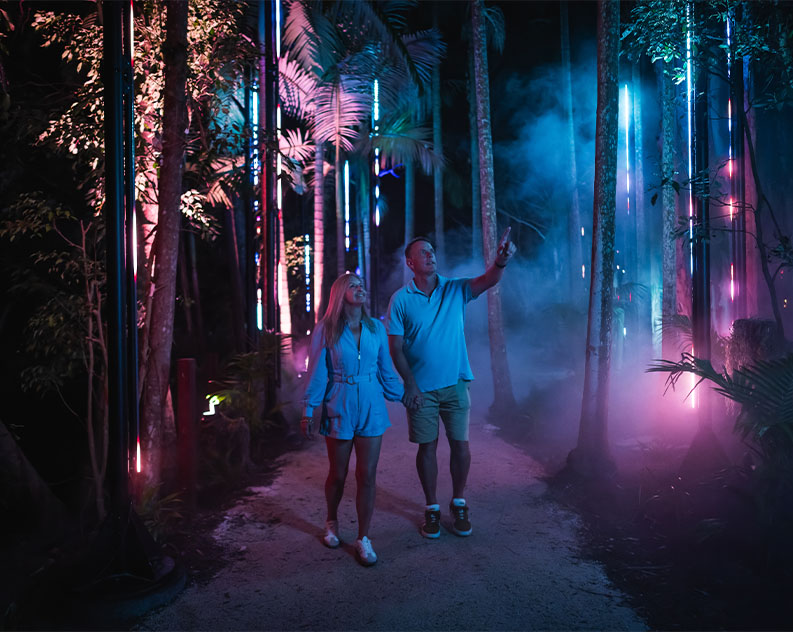 A couple walking on a paved footpath through a tropical forest at night, hand in hand looking up with colourful lights and fog effects lighting up the trees around them