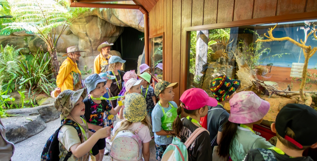 A large group of kids dressed in colourful summer clothes and hats all looking through a glass wall appearing to be a habitat of a desert snake. There are two elderly women in the background watching over the children dressed in a yellow top and decorated stentson hats