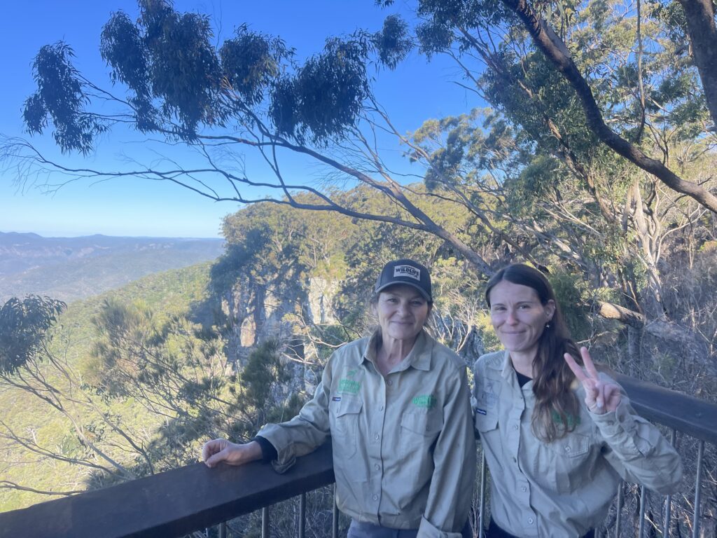 Kroombit Tops National Park Is 900 Metres Above Sea Level 
