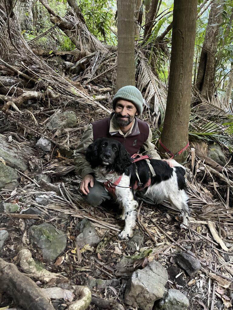 Detector Dogs Sniff Out Hope for Wild Tinkerfrog Populations