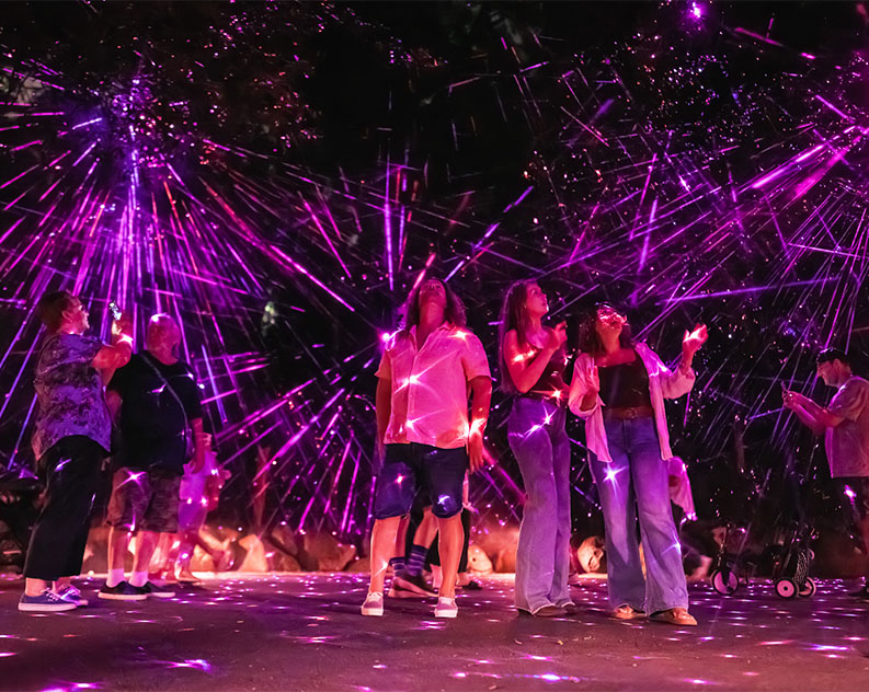 A group of people on an open space at night gazing up at pink and purple laser lights filling the night sky, coming from the trees