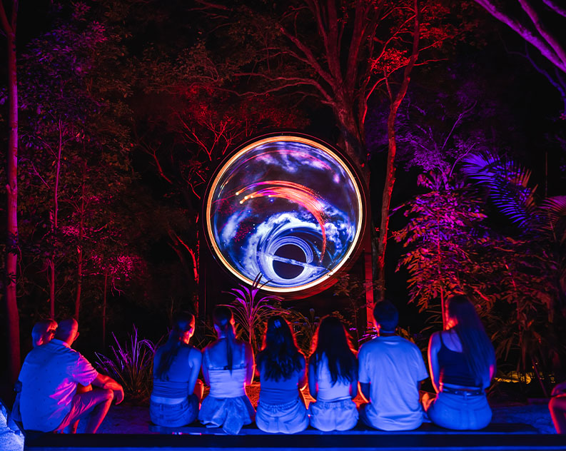The back of a group of people sitting on a bench at night, watching a circular installation with a cosmic light show high up in trees