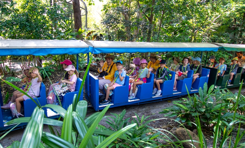 A large group of young kids on a blue open air mini train going through a wildlife sanctuary. There are three adults on the train with the kids