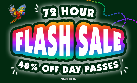 Colourful graphic with text 72 hour flash sale 40% off day passes on a dark green background and a lorikeet illustration flying towards it