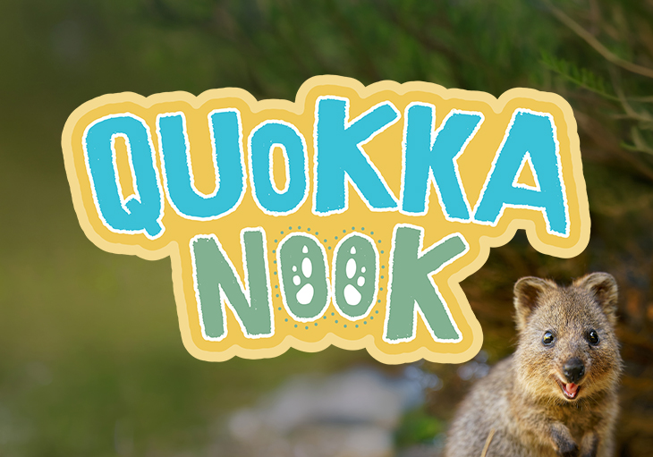 A closeup of a quokka with its mouth open and front paws hanging relaxed. The image is overlaid with playful text in blue, green and yellow saying Quokka Nook.