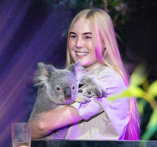 A Koala held by a blonde female wildlife keeper wearing a light beige t shirt. It is dark around them with purple sparkling beam lights illuminating the dark night sky