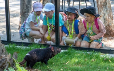 Four kids in colourful clothes wearing bucket hats and caps crouched down on the ground watching a Tasmanian Devil through a glass wall. One girl is showing her excitement with facial expressions