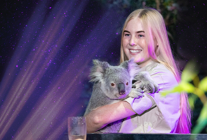 A Koala held by a blonde female wildlife keeper wearing a light beige t shirt. It is dark around them with purple sparkling beam lights illuminating the dark night sky