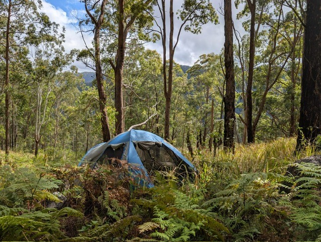 Acclimation tents