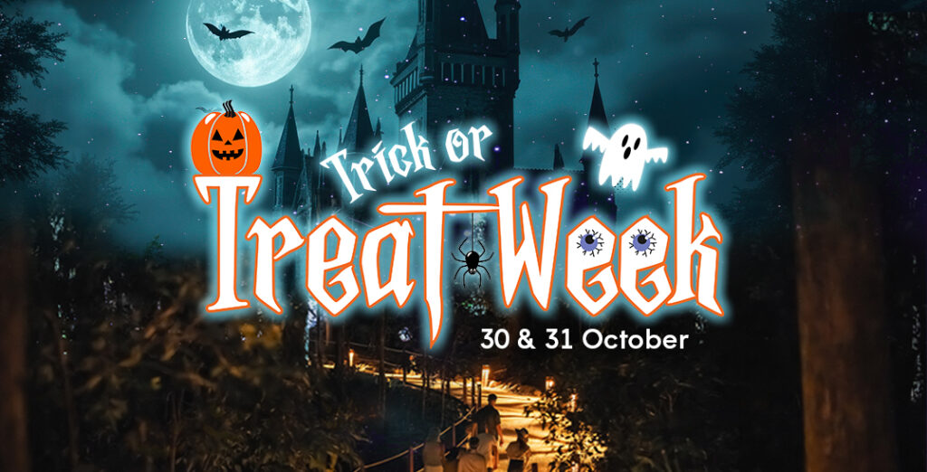 Trick or Treat Week, 30 & 31 October: full moon and bats over a gothic castle, with visitors on a lantern-lit night walk below