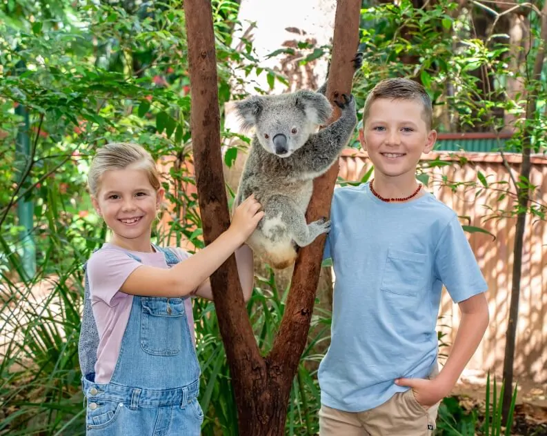 Young-siblings-next-koala-tree.jpg.webp